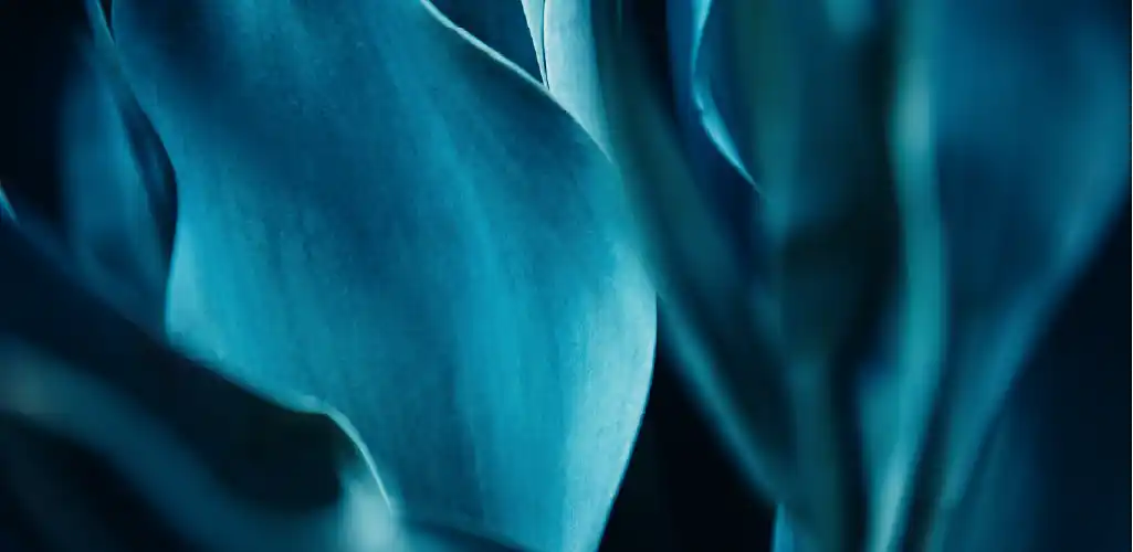 Close-up of abstract, teal-colored plant leaves with soft lighting, creating a smooth, flowing texture. The mood is serene and calming.