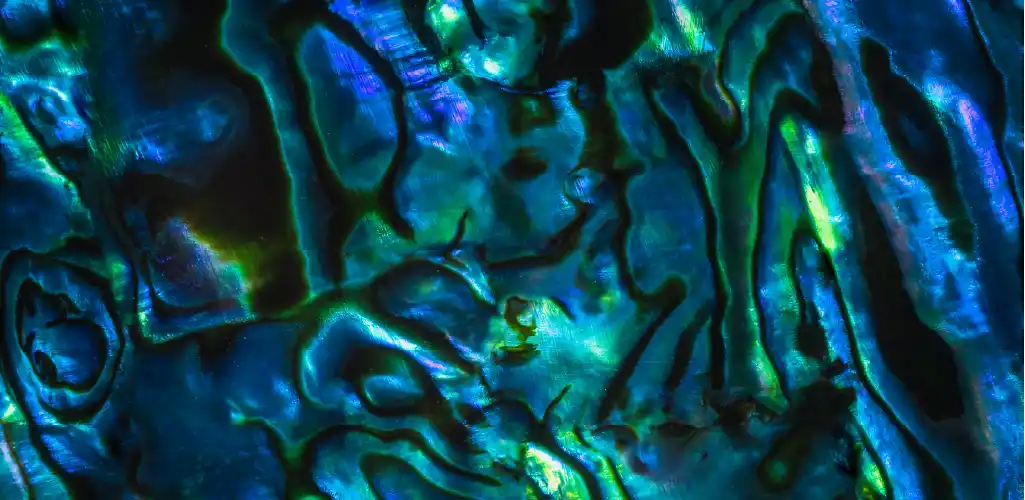Colorful close-up of an abalone shell surface, with iridescent blues, greens, and touches of purple. The wavy patterns create a vibrant, oceanic feel.