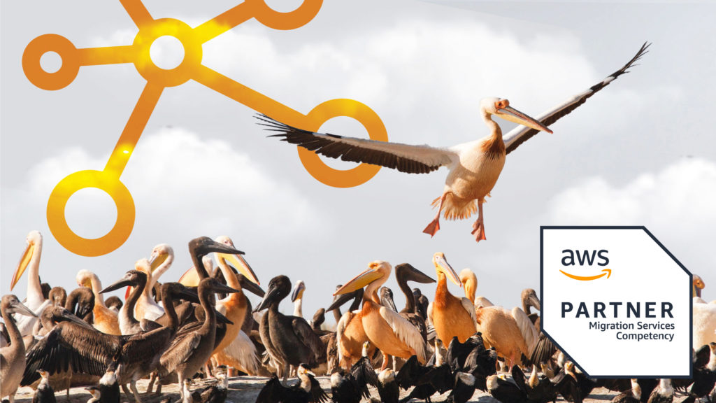 A group of pelicans on a beach with one flying above. A stylized yellow network graphic overlays the sky. AWS Partner Migration Services logo is in the corner.