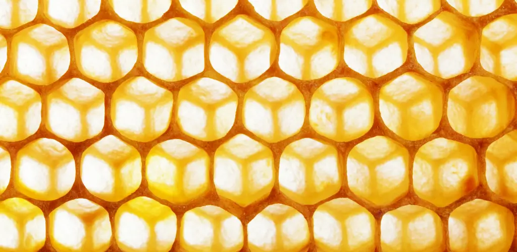 Close-up of a honeycomb shows hexagonal cells filled with bright golden honey, reflecting light. The pattern conveys a sense of geometric harmony and natural beauty.