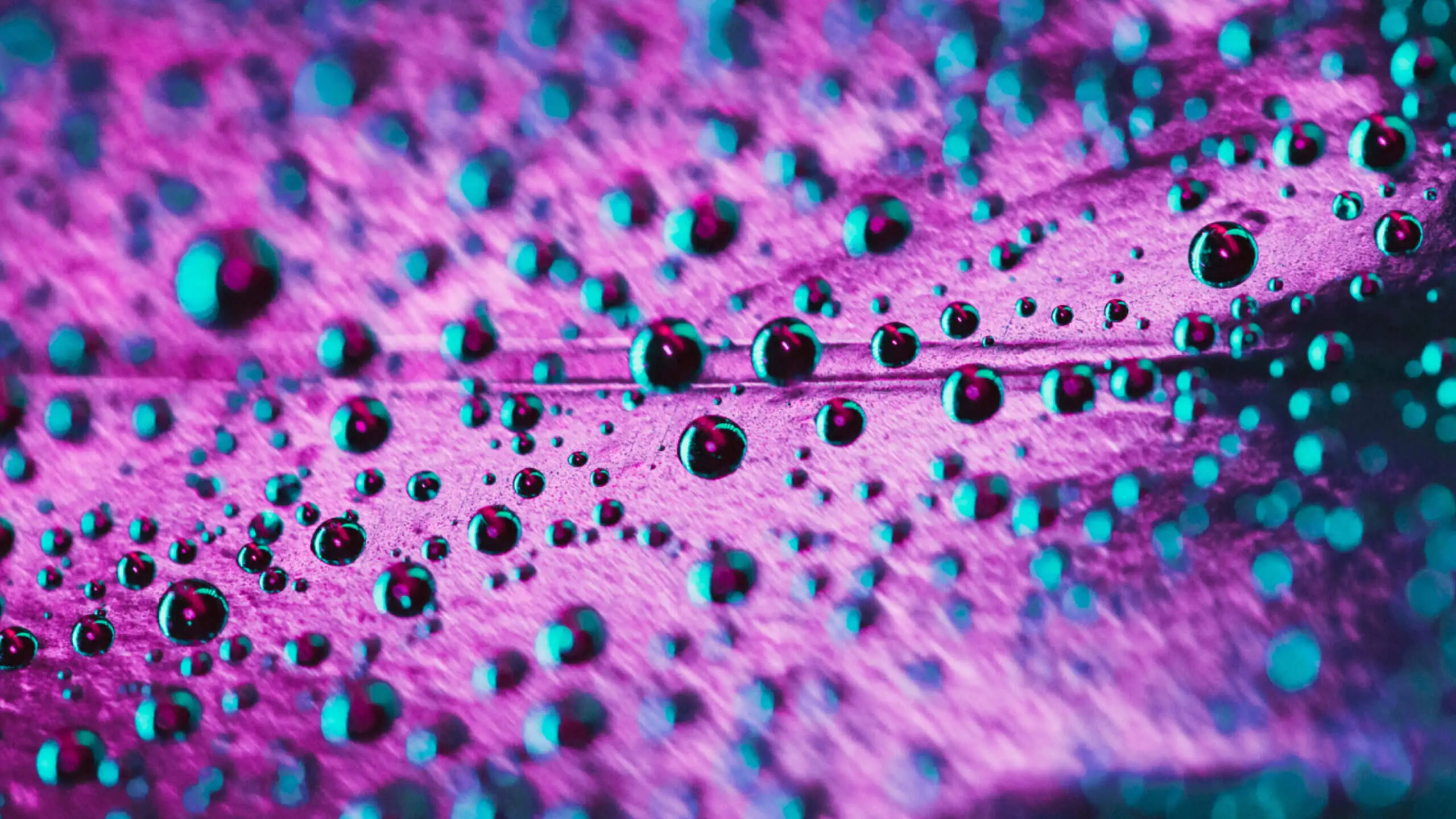 Close-up of shimmering water droplets on a vibrant purple surface. The turquoise reflections create a captivating, abstract, and dynamic pattern.