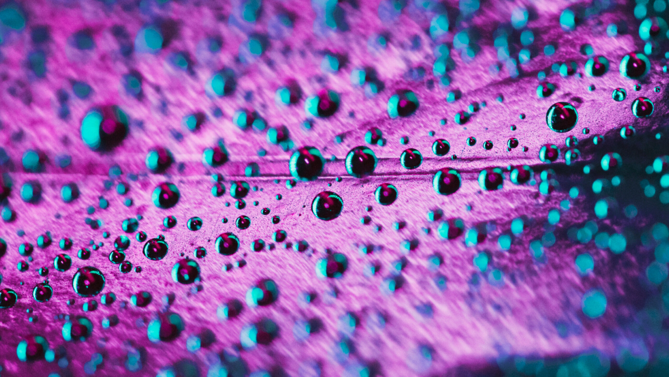 Digital enablement: The strategy your transformation forgot