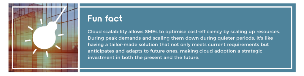 cloud and SMEs fun fact